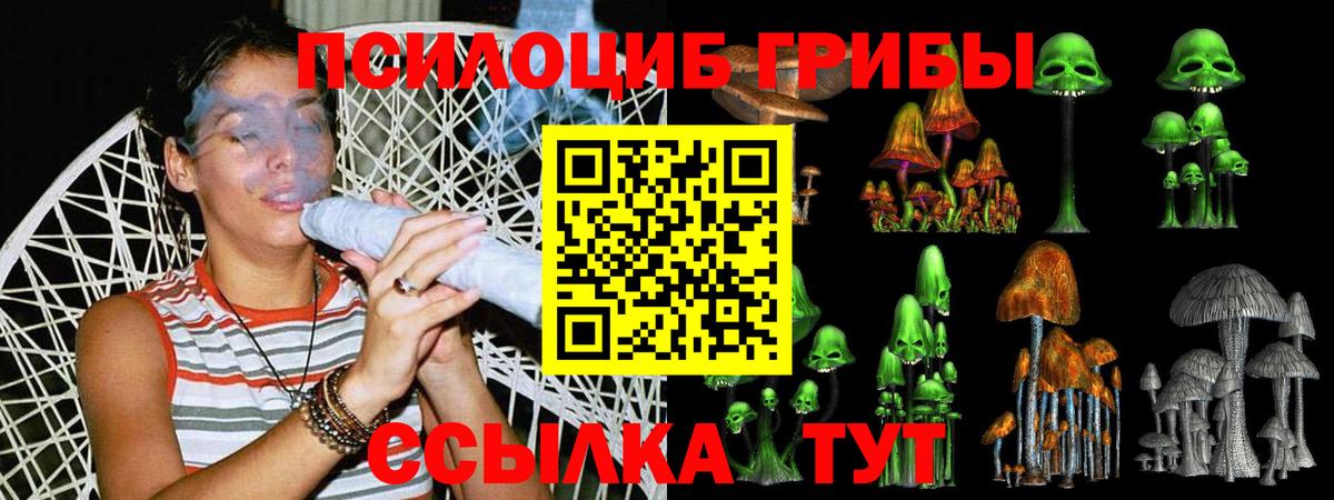 Галлюциногенные грибы Psilocybe  купить наркоту  Ахтубинск  Псилоцибиновые грибы прущие грибы  Вход с VPN 