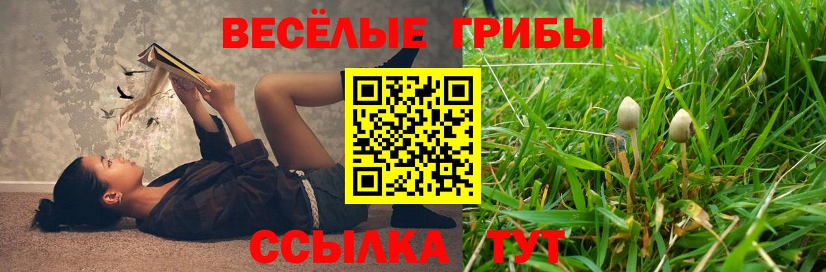 Псилоцибиновые грибы прущие грибы  Ахтубинск  Галлюциногенные грибы мухоморы 