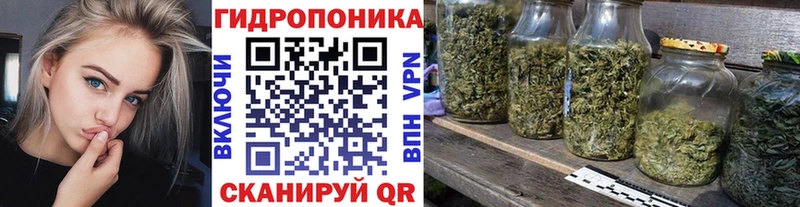 Каннабис SATIVA & INDICA Ахтубинск
